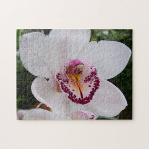 Quebra-cabeça Orquídea Branca I Linda Flor Tropical