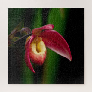 Quebra-cabeça Orquídea de Slippers Red Lady
