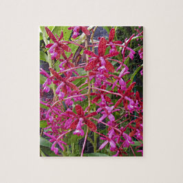 Quebra-cabeça Orquídea Rosa