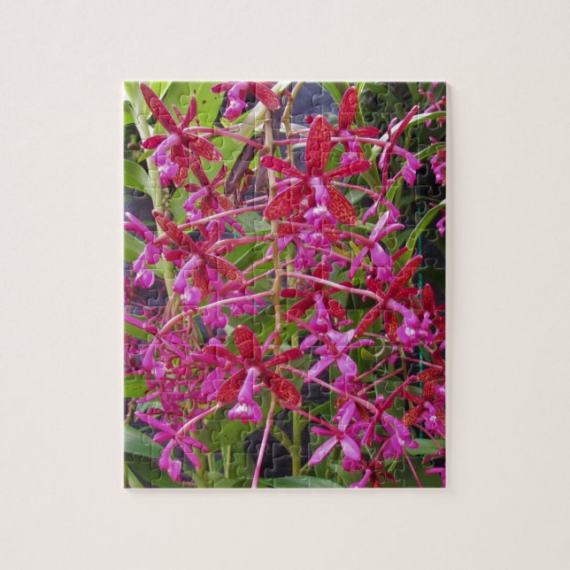 Quebra-cabeça Orquídea Rosa (Vertical)