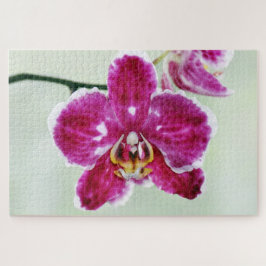 Quebra-cabeça Orquídea Rosa