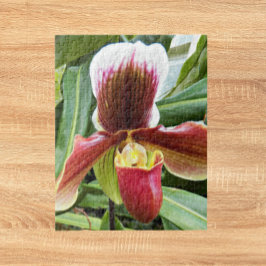 Quebra-cabeça Orquídea vermelha do Slipper Floral