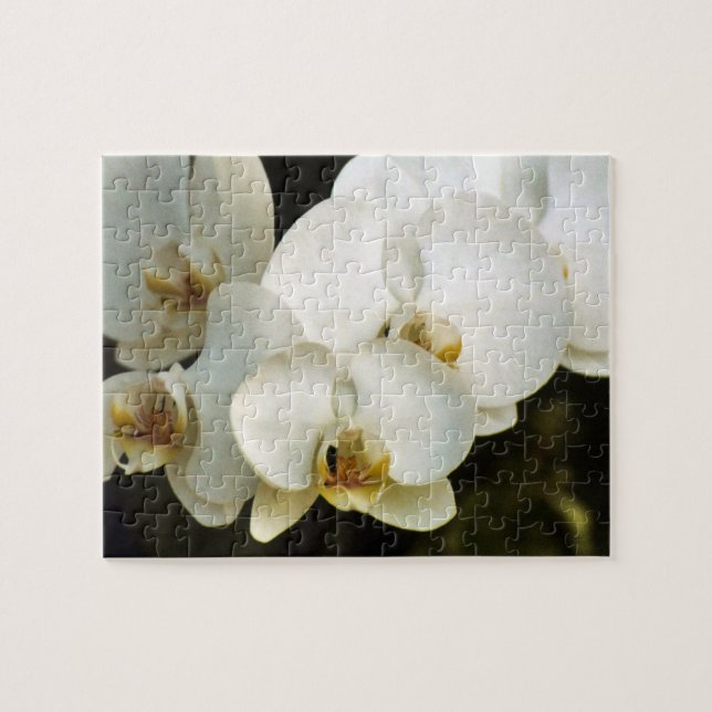 Quebra-cabeça Orquídeas (Horizontal)
