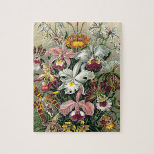 Quebra-cabeça Orquídeas