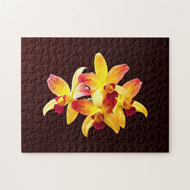 Quebra-cabeça Orquídeas Amarelas e Maroon Brassolaeliocattleya (Horizontal)