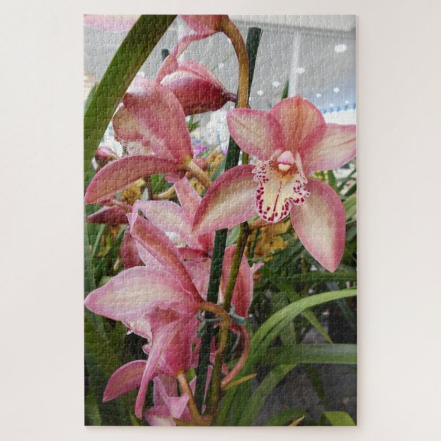 Quebra-cabeça Orquídeas cor-de-rosa do Cymbidium (Vertical)