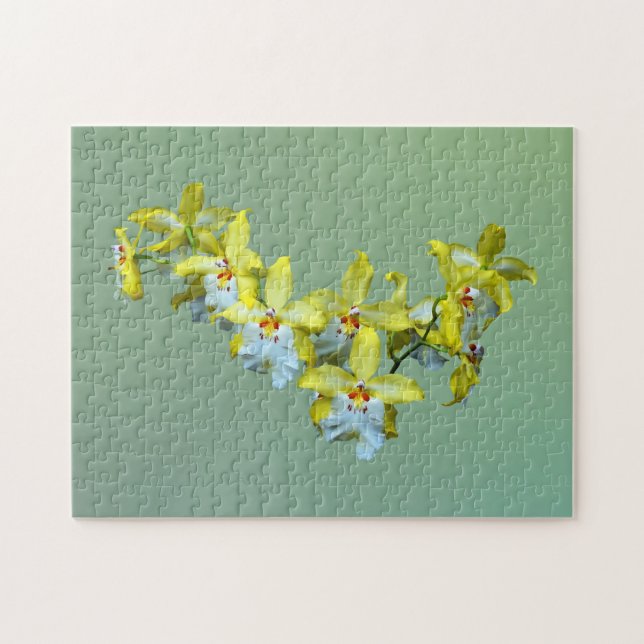 Quebra-cabeça Orquídeas da Vuylstekeara amarela e branca Coração (Horizontal)