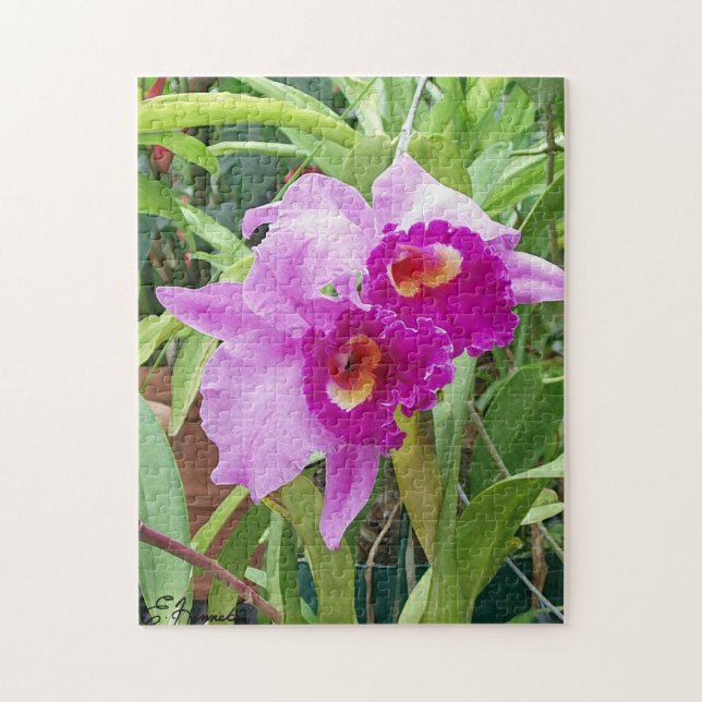 Quebra-cabeça Orquídeas de Cattleya Roxo (Vertical)