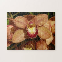 Orquídeas de pêssego com Raindrops Floral