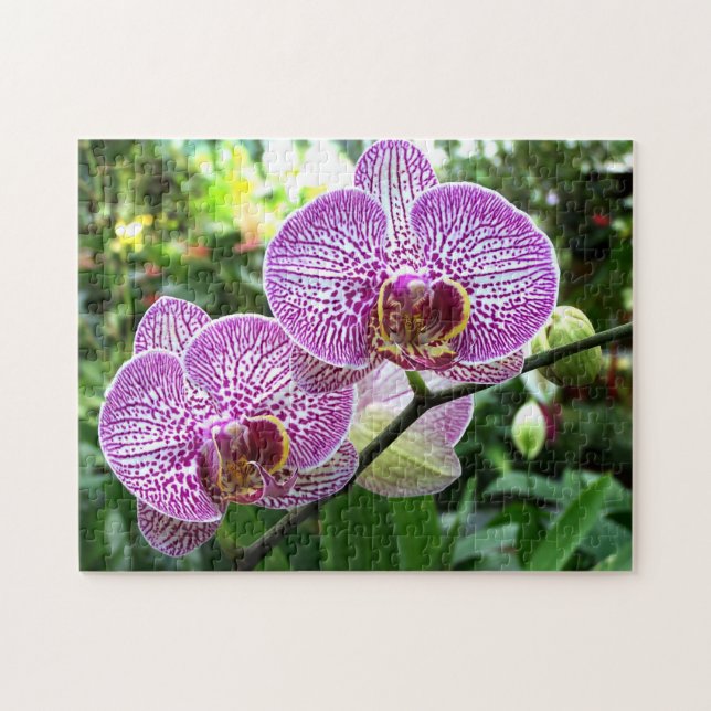 Quebra-cabeça Orquídeas-de-roxo-Quebra-cabeça (Horizontal)
