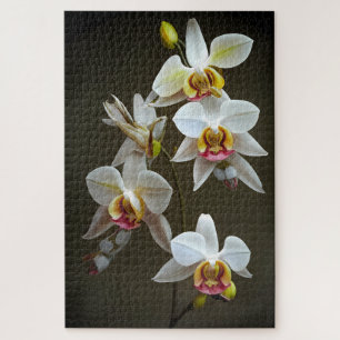 Quebra-cabeça Orquídeas Dendroium
