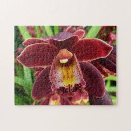 Quebra-cabeça Orquídeas Maroon I Belo Floral Vermelho