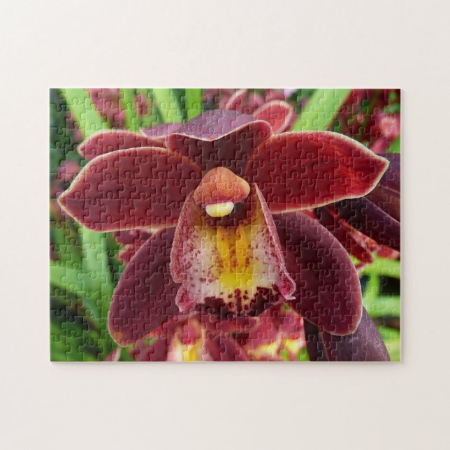 Quebra-cabeça Orquídeas Maroon I Belo Floral Vermelho (Horizontal)
