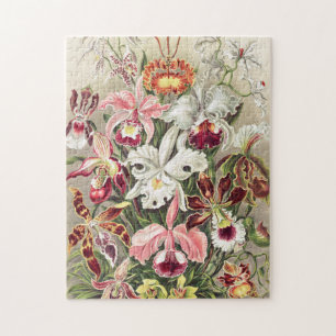 Quebra-cabeça Orquídeas, Orquídeas Denusblumen de Ernst Haecke