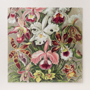 Quebra-cabeça Orquídeas, Orquídeas Denusblumen de Ernst Haecke