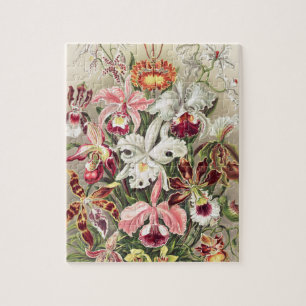Quebra-cabeça Orquídeas, Orquídeas Denusblumen de Ernst Haecke