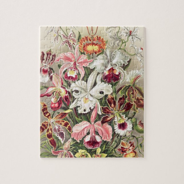 Quebra-cabeça Orquídeas, Orquídeas Denusblumen de Ernst Haeckel (Vertical)