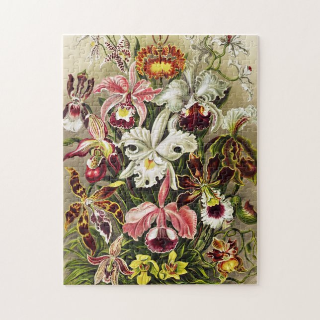 Quebra-cabeça Orquídeas, Orquídeas Denusblumen Ernst Haeckel (Vertical)