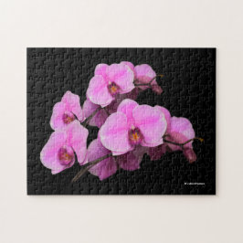 Quebra-cabeça Orquídeas Rosa Elegantes Phalaenopsis a Preto