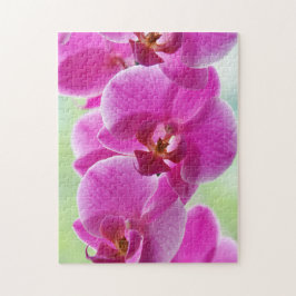 Quebra-cabeça Orquídeas Rosa Lindas