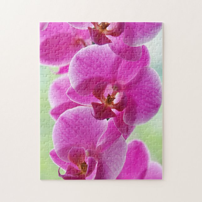 Quebra-cabeça Orquídeas Rosa Lindas (Vertical)