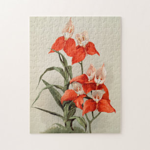 Quebra-cabeça Orquídeas Vintage Flor Vintage Ilustração Antiga