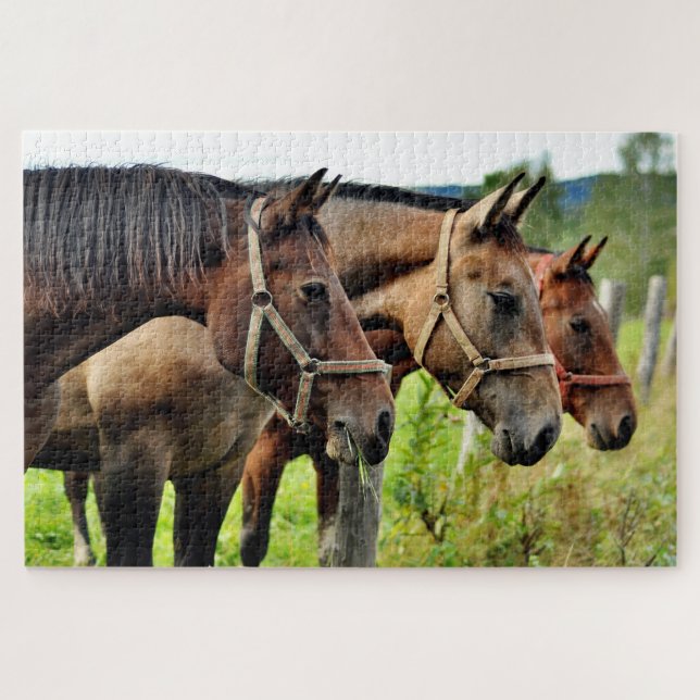 Quebra-cabeça Os Três Amigos Estreitando Amigos Cavalos (Horizontal)
