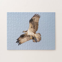 Quebra-cabeça Osprey com peixe
