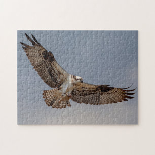 Quebra-cabeça Osprey em voo