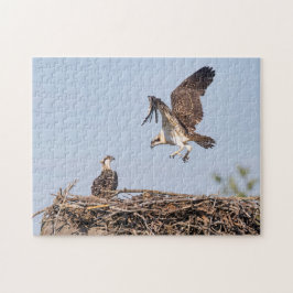 Quebra-cabeça Osprey no ninho