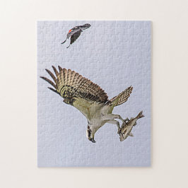 Quebra-cabeça Osprey sendo perseguido por um pássaro vermelho