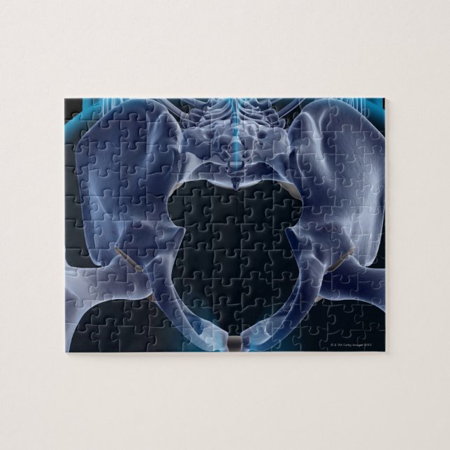 Quebra-cabeça Ossos do Pelvis (Horizontal)