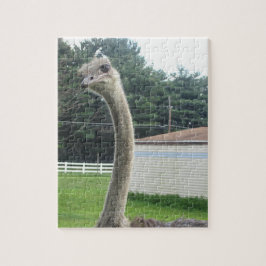 Quebra-cabeça Ostrich
