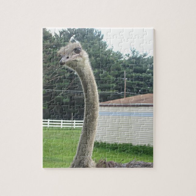Quebra-cabeça Ostrich (Vertical)