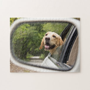 Quebra-cabeça Ouro Labrador No Espelho Da Rearview