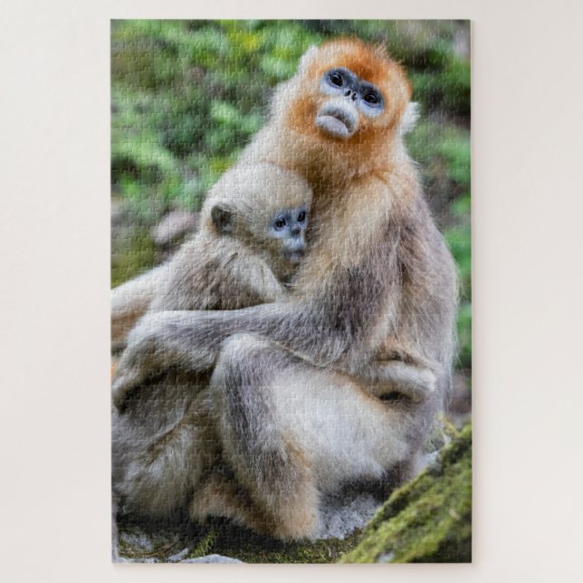 Quebra-cabeça Ouro Macaco Snub Nosed com Bebê (Vertical)