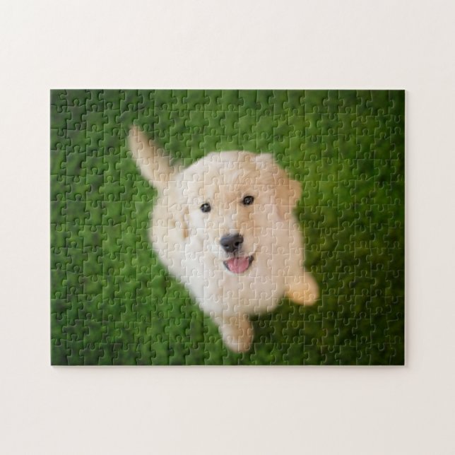 Quebra-cabeça Ouro - Retirador de Puppy com Grass (Horizontal)