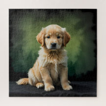 Ouro Retriever Puppy