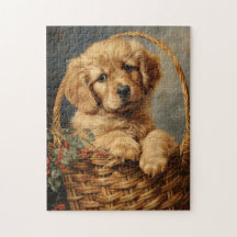 Ouro Retriever Puppy em um soquete