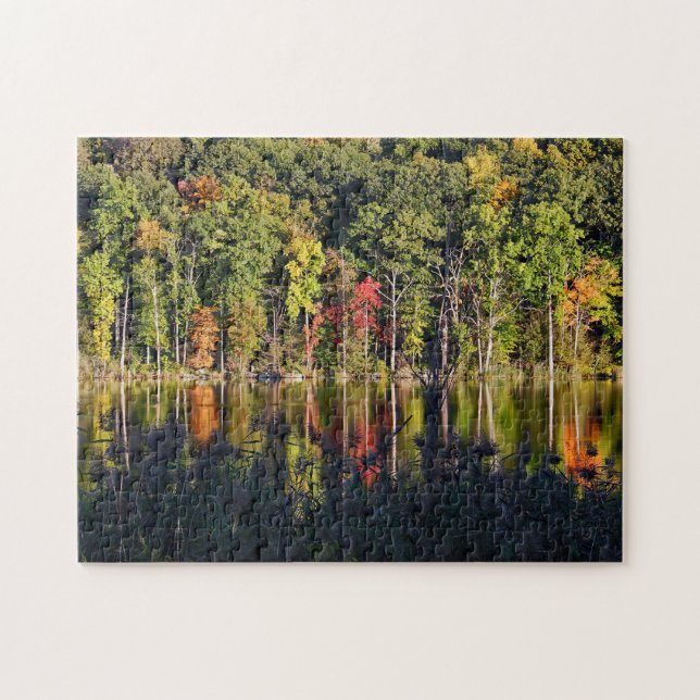 Quebra-cabeça Outono Em Beardsley Pond (Horizontal)