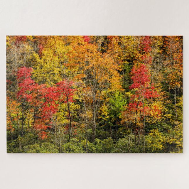 Quebra-cabeça Outono em Sims Pond North Carolina, Blue Ridge (Horizontal)