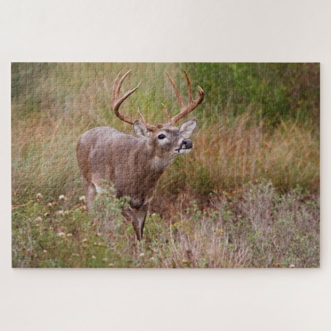 Quebra-cabeça Ouvido de cauda branca no outono do Texas (Horizontal)