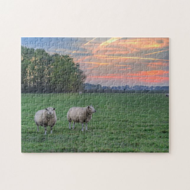 Quebra-cabeça Ovinos no Campo com Sunset (Horizontal)
