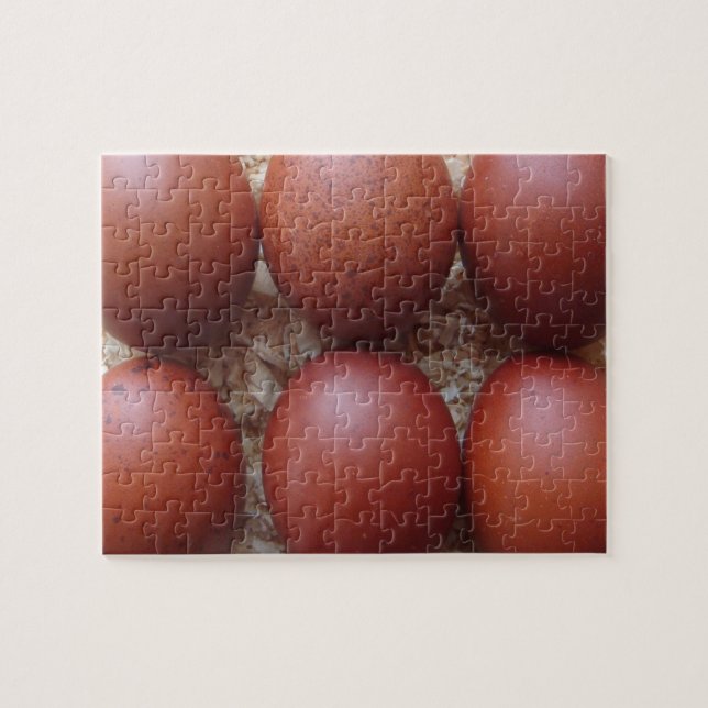 Quebra-cabeça - ovos da galinha de Marans (Horizontal)