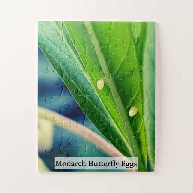 Quebra-cabeça Ovos de Borboleta Monarca 30Pcs (Vertical)
