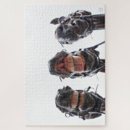 Quebra-cabeça Paarden in de mond gekeken. 3 paarden lachend. leg