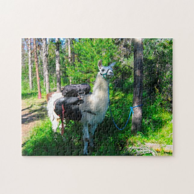 Quebra-cabeça Pacote de Llama Idaho. (Horizontal)
