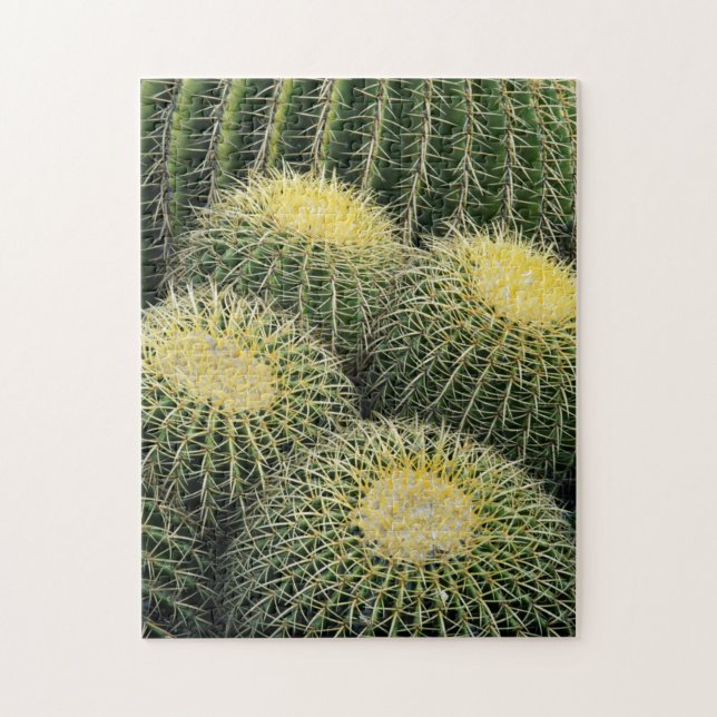 Quebra-cabeça Padrão de Cacto (Vertical)