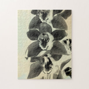 Quebra-cabeça Painéis Blush Orchid IV