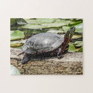 Quebra-cabeça Painted Turtle Jigsaw Puzzle